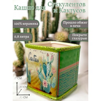 Кашпо "Cactus"