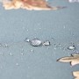 СКАТЕРТЬ "ЛИСТЬЯ МОРРИСА"140Х180СМ , 100% ХЛОПОК, СИНИЙ , ТВИЛ, ПРОПИТКА