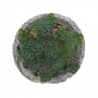 Цветочная композиция "Суккулент", L11 W11 H12 см