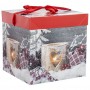 Коробка подарочная (бумага, плотность 350г/м2), L22 W22 H22 см, 2в.